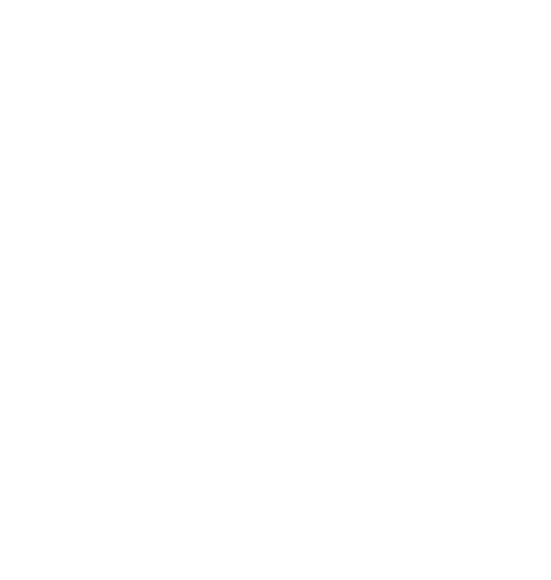 DigiLoans mark